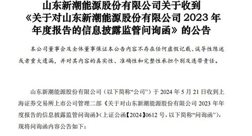 海量财经丨打破砂锅问到底 上交所5000字问询新潮能源